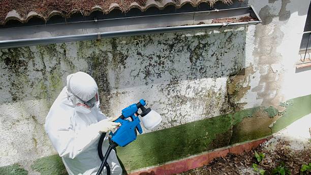Top rated local Crawl Space Mold Removal specialists in Duncannon, PA